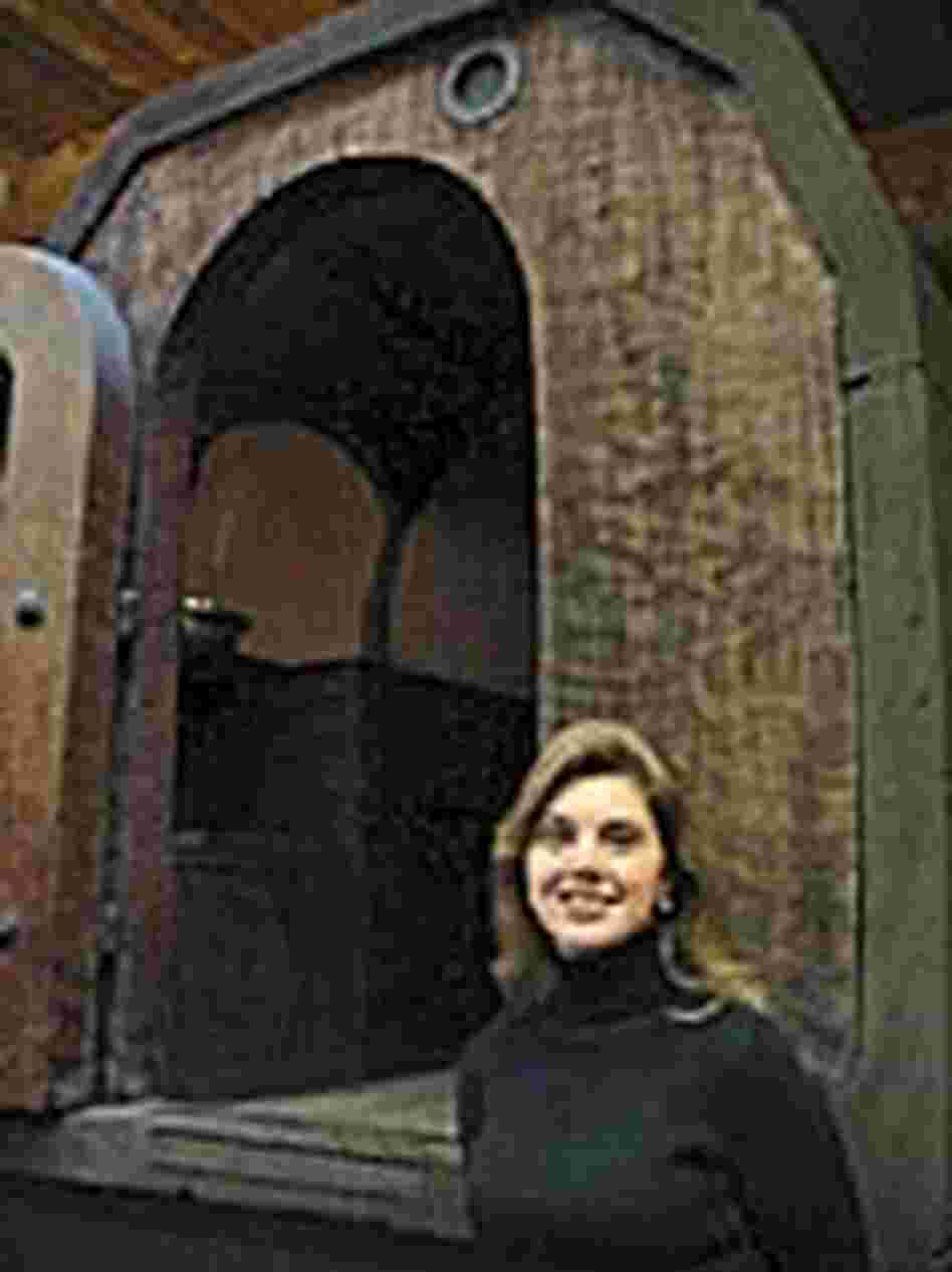 Suzanne Van Meter and the Travel Log Suzanne Van Meter and the Travel Log