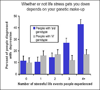 Dr. Terrie Moffitt, King's College London, and colleagues have discovered that people who carry the short version of a particular gene ('s/s') 
were more likely to develop depression in the face of stressful life events than were people who carry the long version of the gene ('l/l').