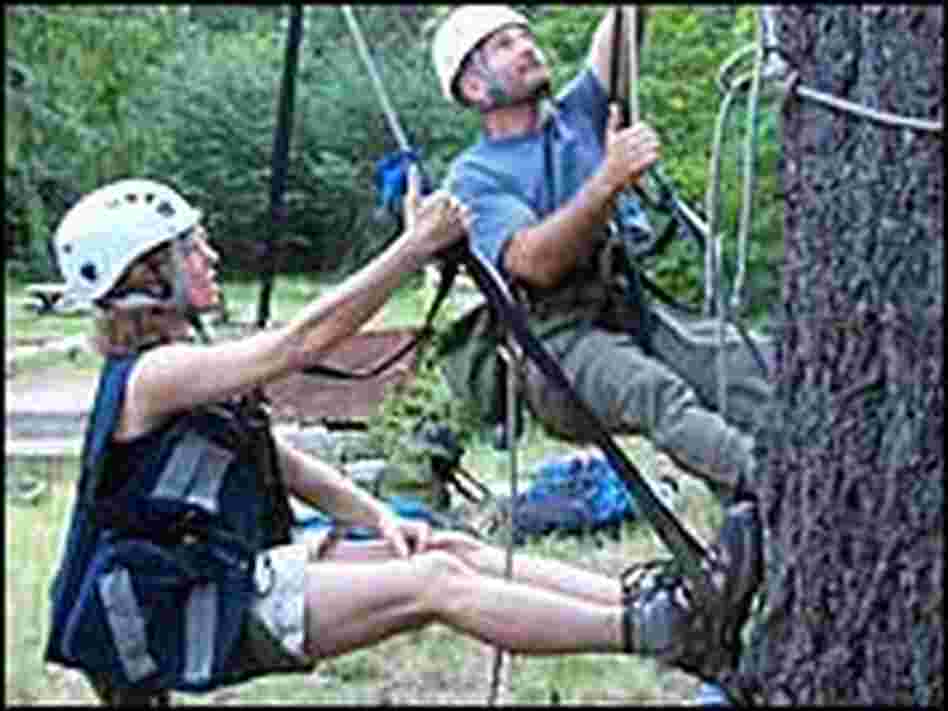 Scott Altenhoff, right, and NPR's Ketzel Levine prepare for a tree climb. Scott Altenhoff, right, and NPR's Ketzel Levine prepare for a tree climb.