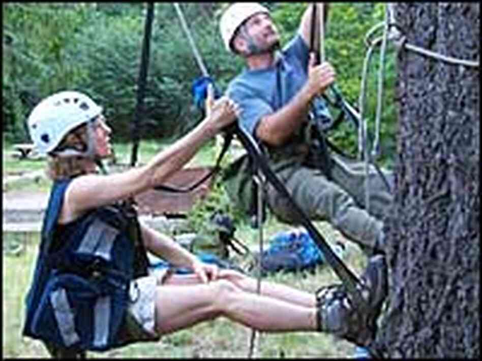 Scott Altenhoff, right, and NPR's Ketzel Levine prepare for a tree climb. Scott Altenhoff, right, and NPR's Ketzel Levine prepare for a tree climb.