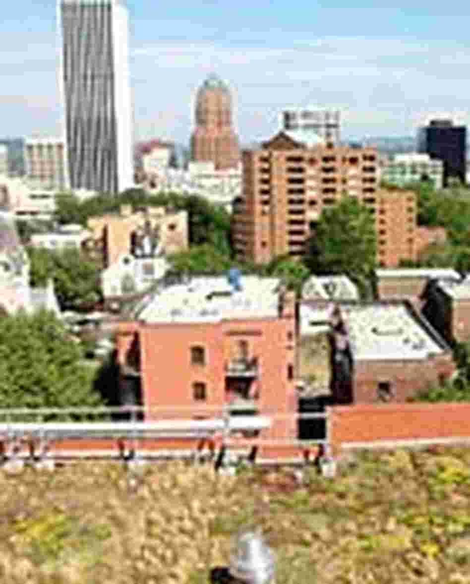 A green roof in Portland, Ore. A green roof in Portland, Ore.