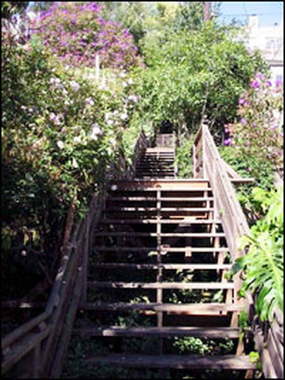 The gardens along the Filbert Steps The gardens along the Filbert Steps