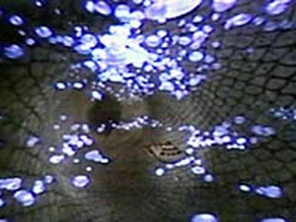 Still from 'Fantastic Voyage' Still from 'Fantastic Voyage'