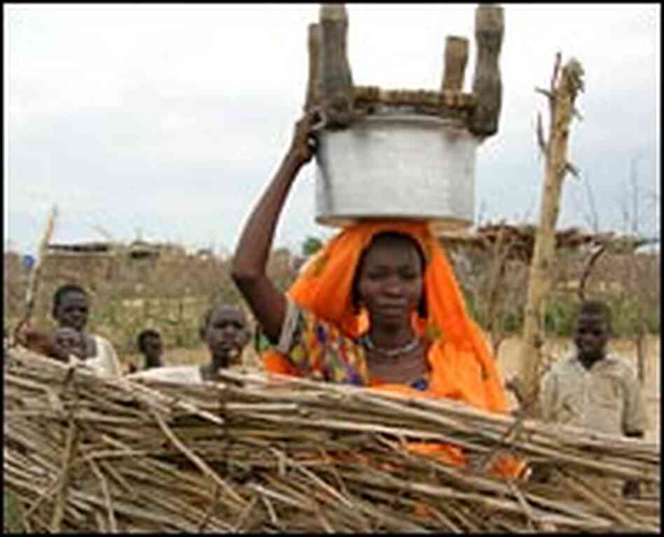 Refugees from Darfur live in Eastern Chad's Breidjing camp. Refugees from Darfur live in Eastern Chad's Breidjing camp.
