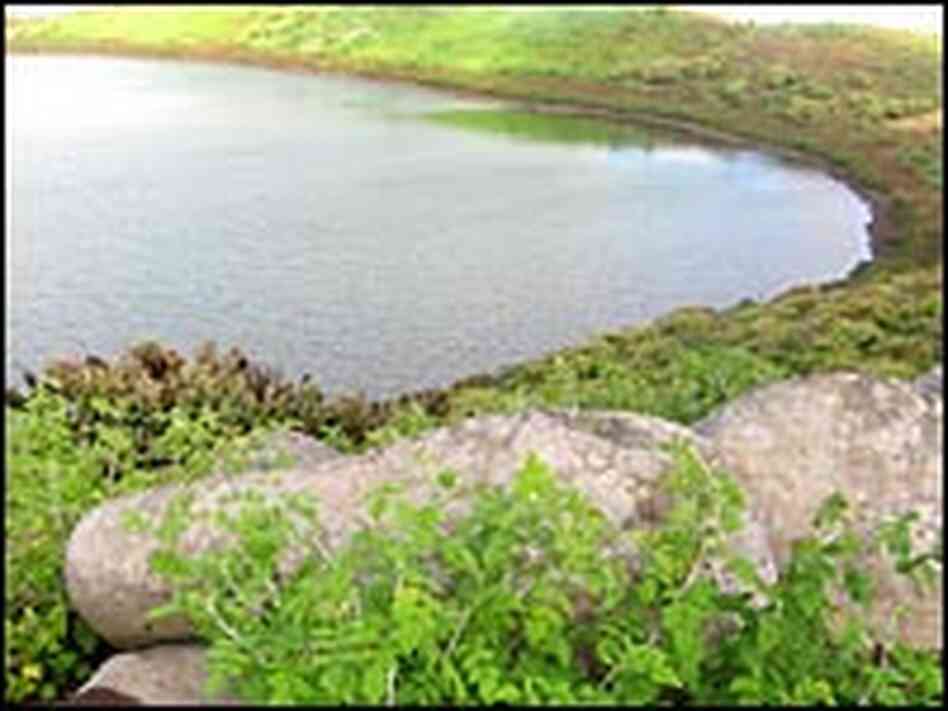 Blackberry plants surround the largest freshwater lake in the Galapagos Islands. Blackberry plants surround the largest freshwater lake in the Galapagos Islands.