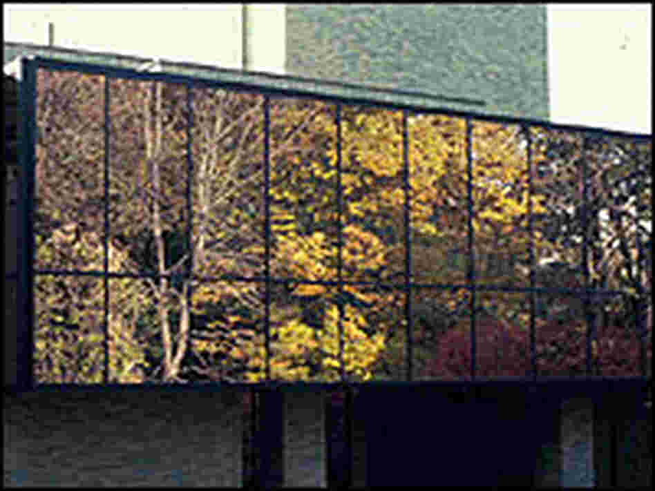 This window, reflecting the woods in front of it, is an example of how birds can be easily misled. This window, reflecting the woods in front of it, is an example of how birds can be easily misled.