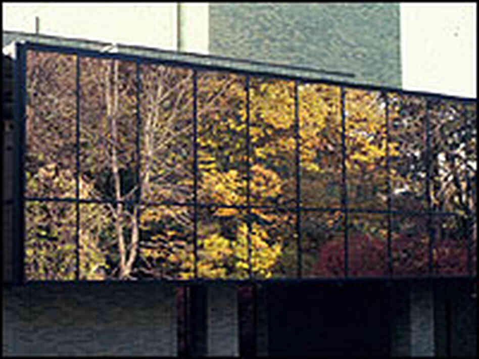 This window, reflecting the woods in front of it, is an example of how birds can be easily misled. This window, reflecting the woods in front of it, is an example of how birds can be easily misled.