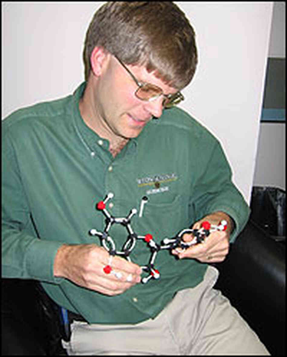 Mars chemist Harold Schmitz holds a chemical model of a flavanol. Mars chemist Harold Schmitz holds a chemical model of a flavanol.