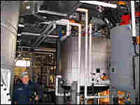 RPM Plant RPM Plant