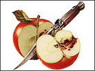 Detail from the cover of 'Berlin Game' by Len Deighton Detail from the cover of 'Berlin Game' by Len Deighton