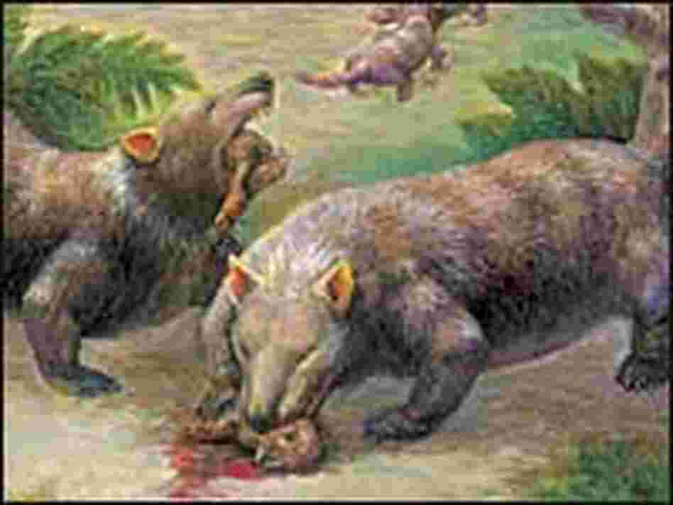 An artist's rendering of Repenomamus eating young dinosaurs. An artist's rendering of Repenomamus eating young dinosaurs.