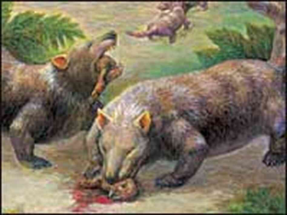An artist's rendering of Repenomamus eating young dinosaurs. An artist's rendering of Repenomamus eating young dinosaurs.