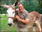 Mel Levine greets a donkey on his farm.