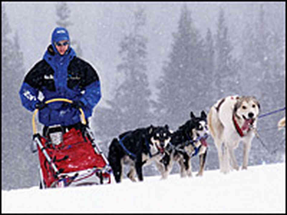 Legally blind Rachael Scdoris with her sled team. Legally blind Rachael Scdoris with her sled team.