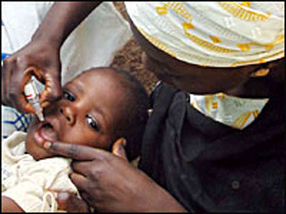 The oral polio vaccine is administered to a Nigerian child. The oral polio vaccine is administered to a Nigerian child.