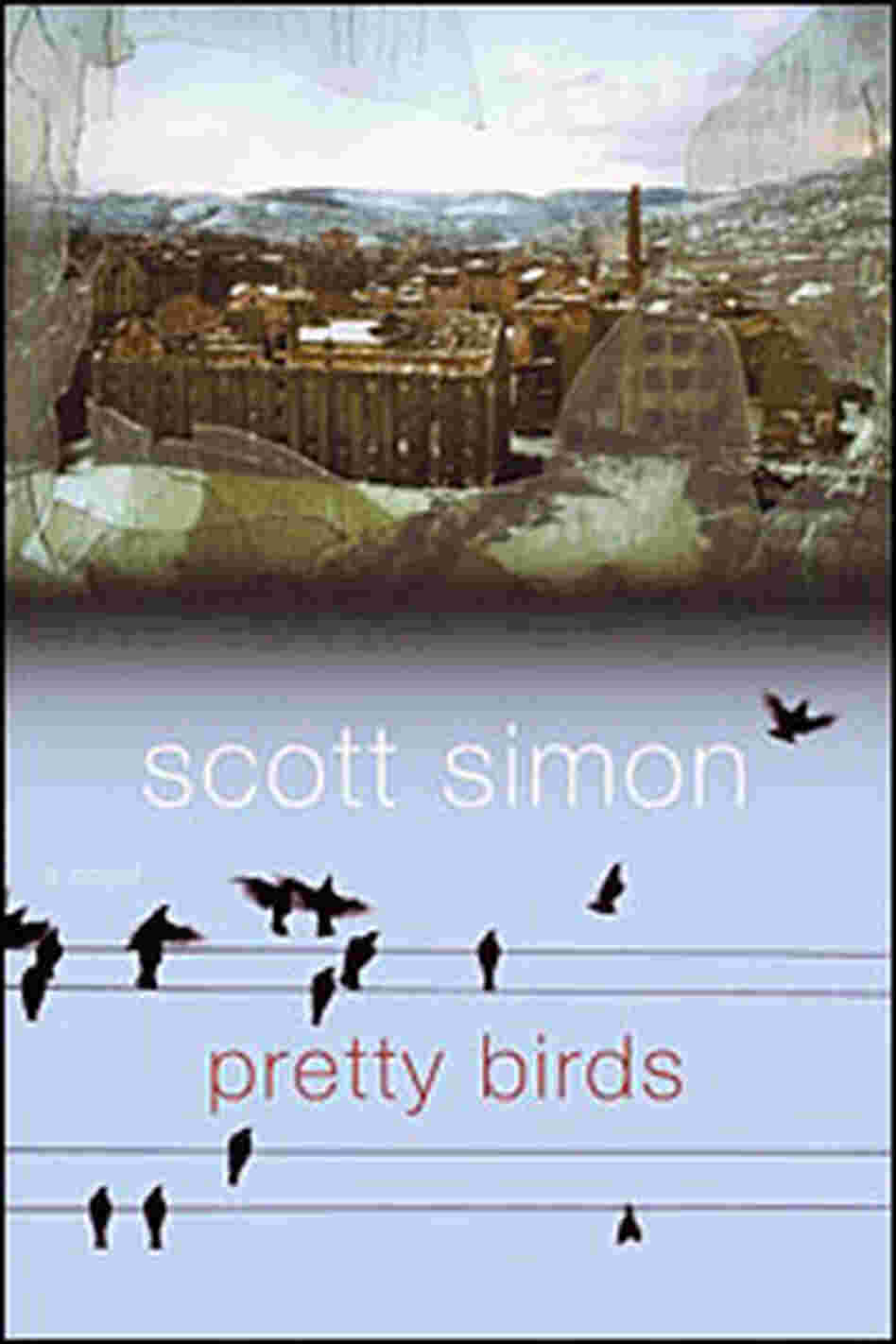 Birds Cover
