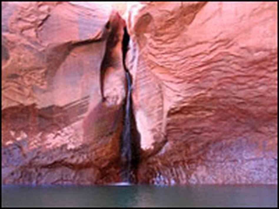 This waterfall in Glen Canyon is a mere underwater spring when Lake Powell's water levels are higher