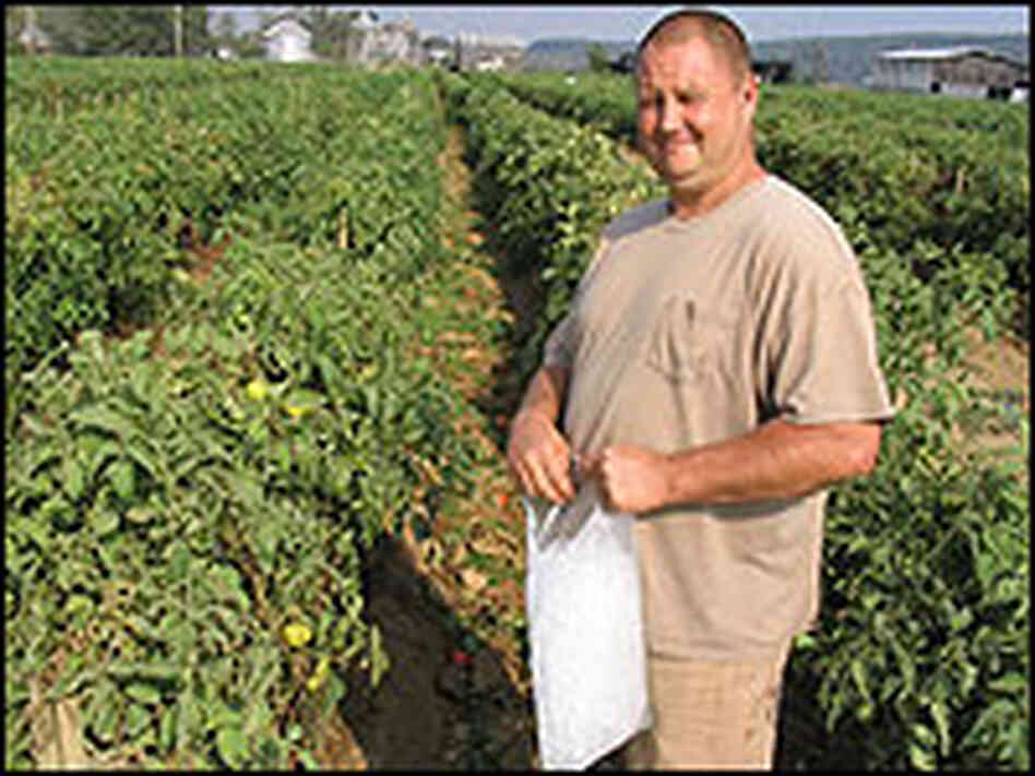 Bobby Chambers, a former manager for Warren Farms. Bobby Chambers, a former manager for Warren Farms.