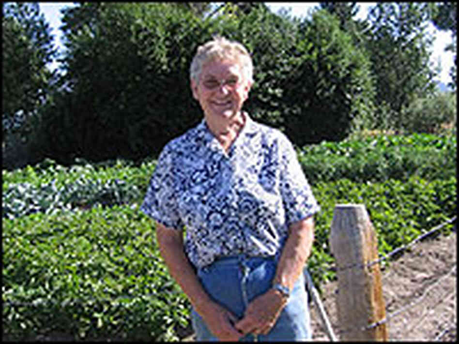 Grizzlies have stolen calves and cows from Wyoming rancher Shirley Bales Grizzlies have stolen calves and cows from Wyoming rancher Shirley Bales
