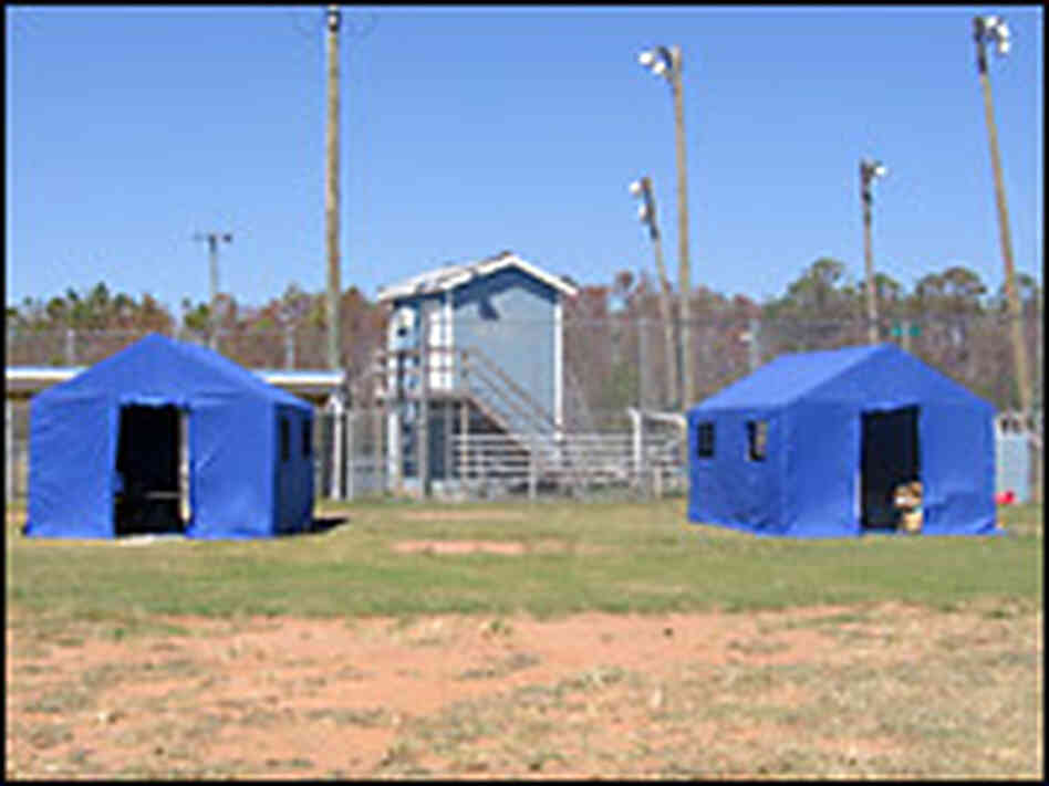 Tents used as classrooms at Tent School for children from Waveland and Bay St. Louis, Miss. Tents used as classrooms at Tent School for children from Waveland and Bay St. Louis, Miss.