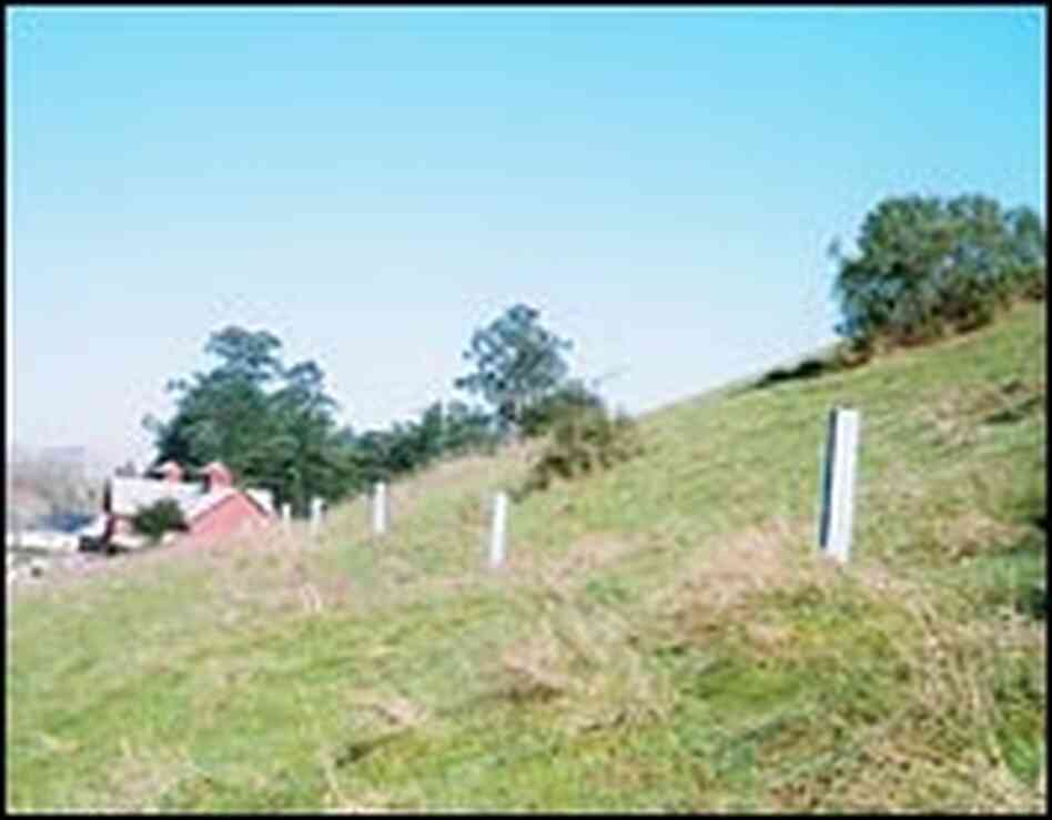 Posts marking the San Andreas Fault