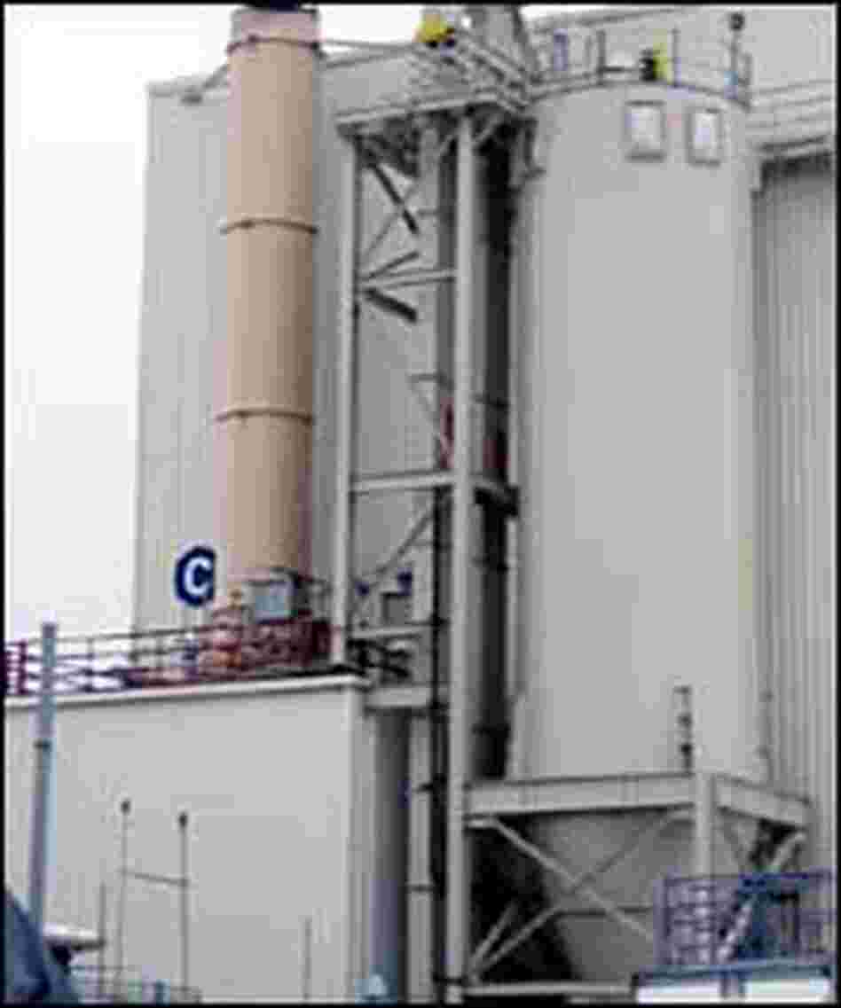 test plant test plant
