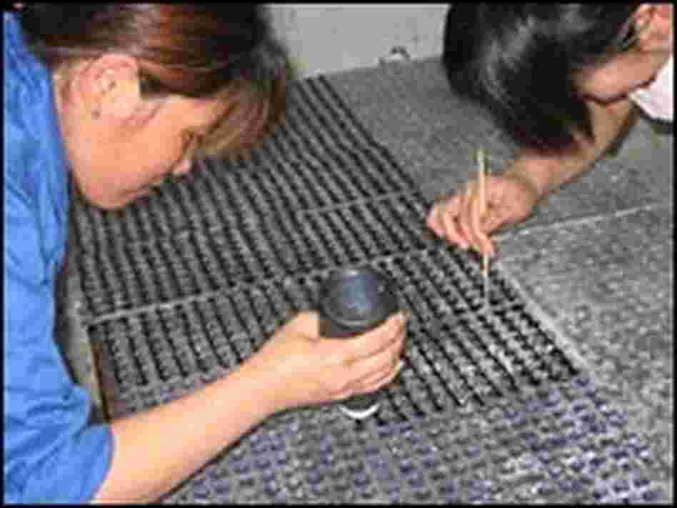Factory workers manually swirl the paint to make multicolored buttons.