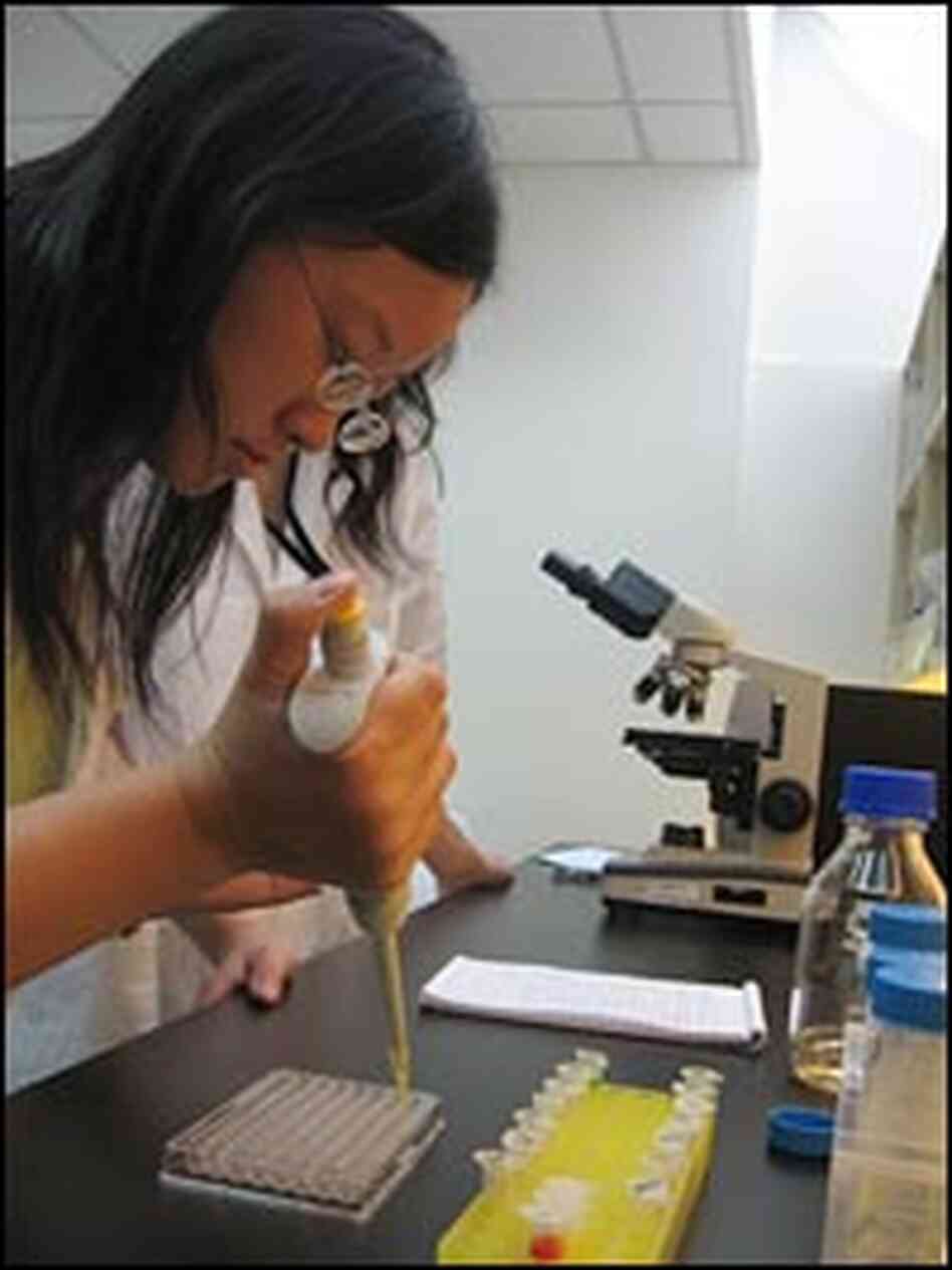 A scientist researches traditional Chinese medicinal compounds. A scientist researches traditional Chinese medicinal compounds.