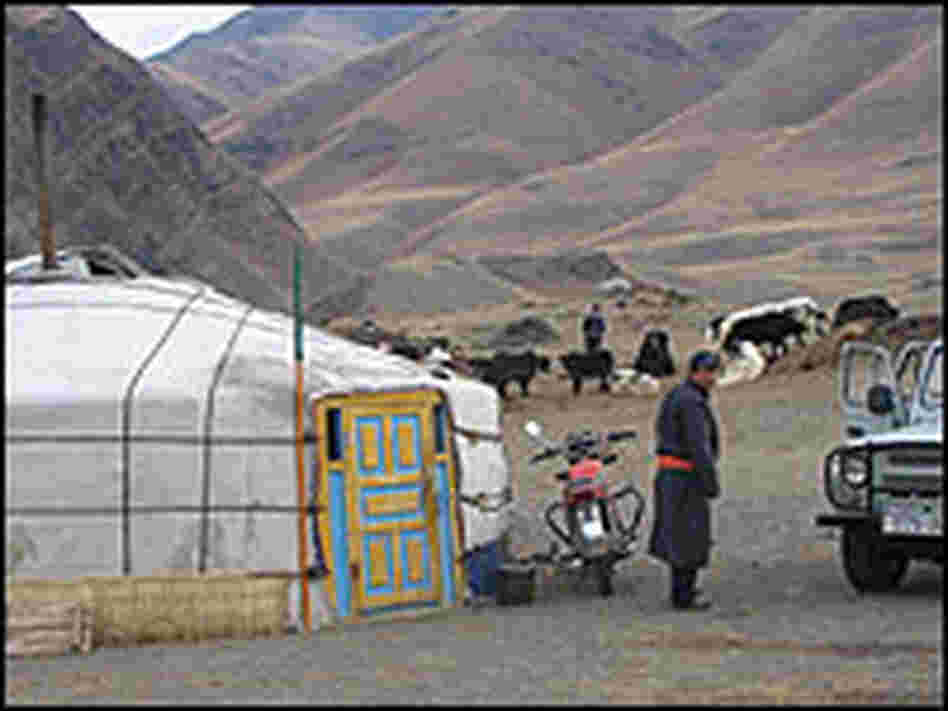 A one-room canvas home for Mongolian herding families.