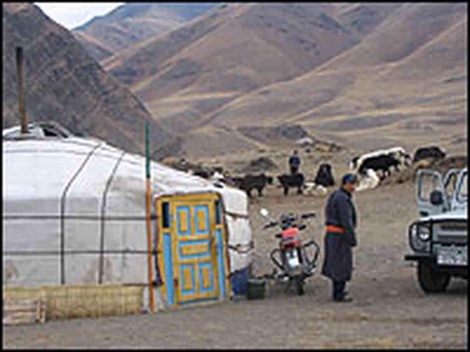 A one-room canvas home for Mongolian herding families.