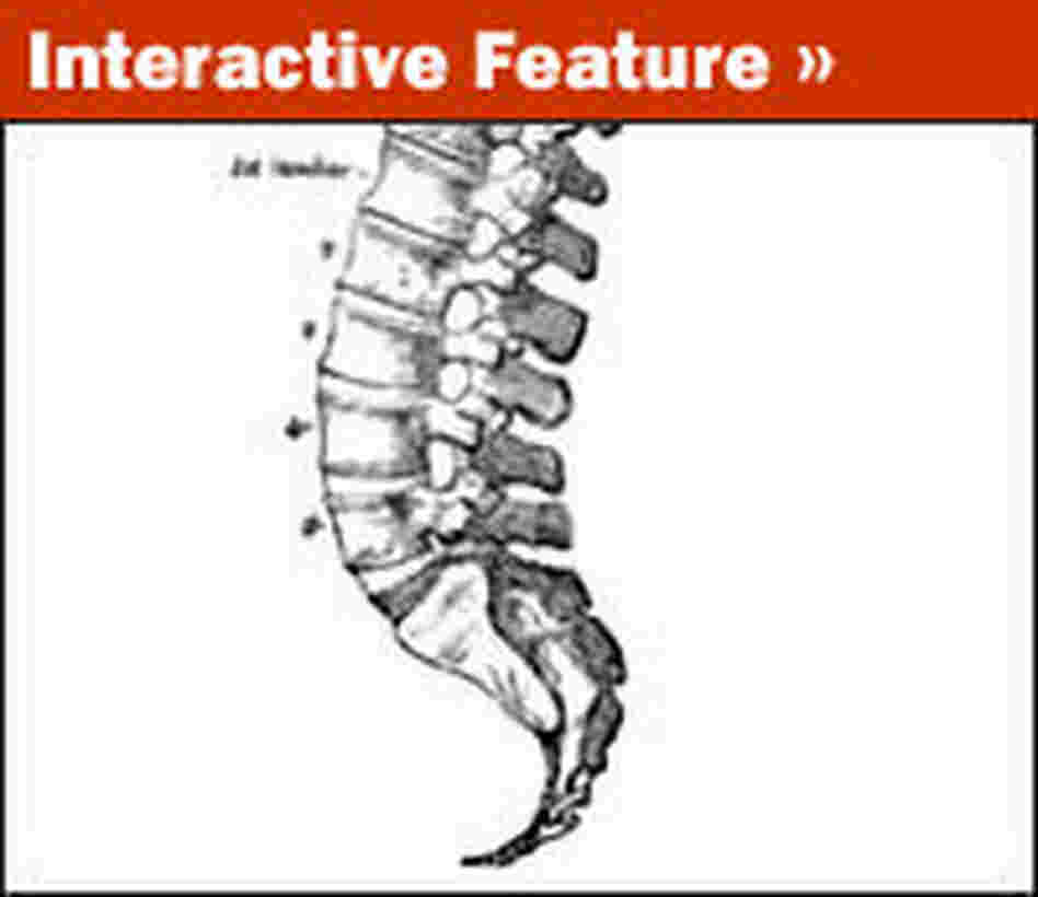 Interactive Feature Interactive Feature