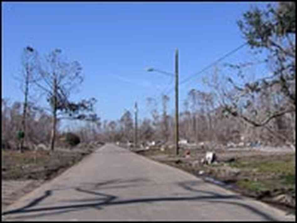 The main street in Waveland, Miss., was lined with homes before Hurricane Katrina came ashore.