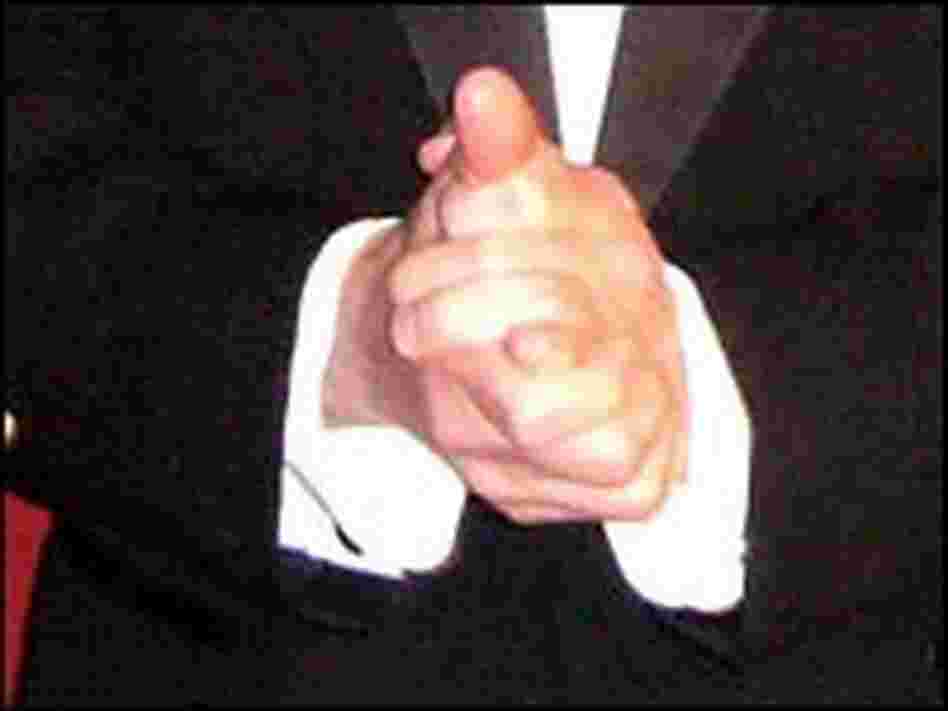 Robert Wilson's hands