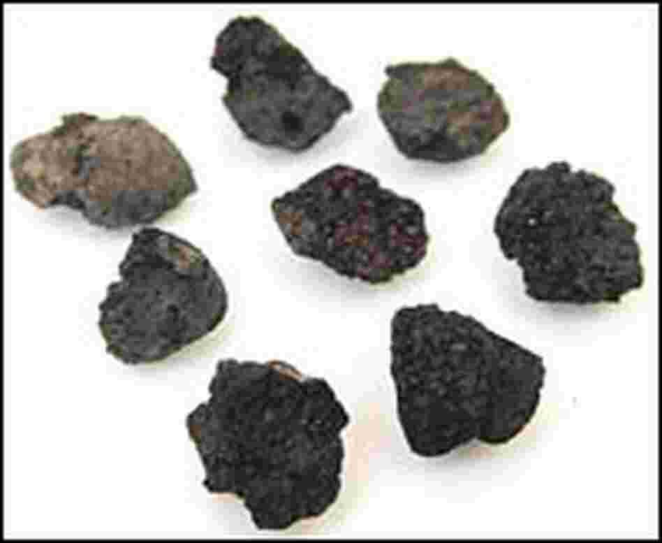 Fig remains from the Gilgal I archeological site