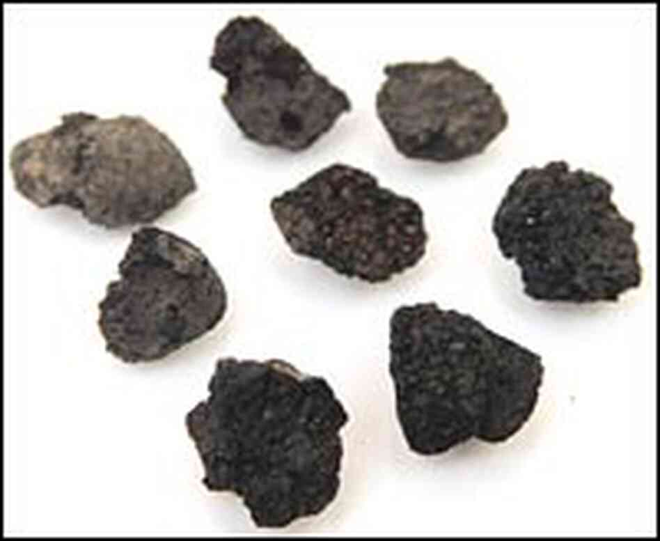 Fig remains from the Gilgal I archeological site