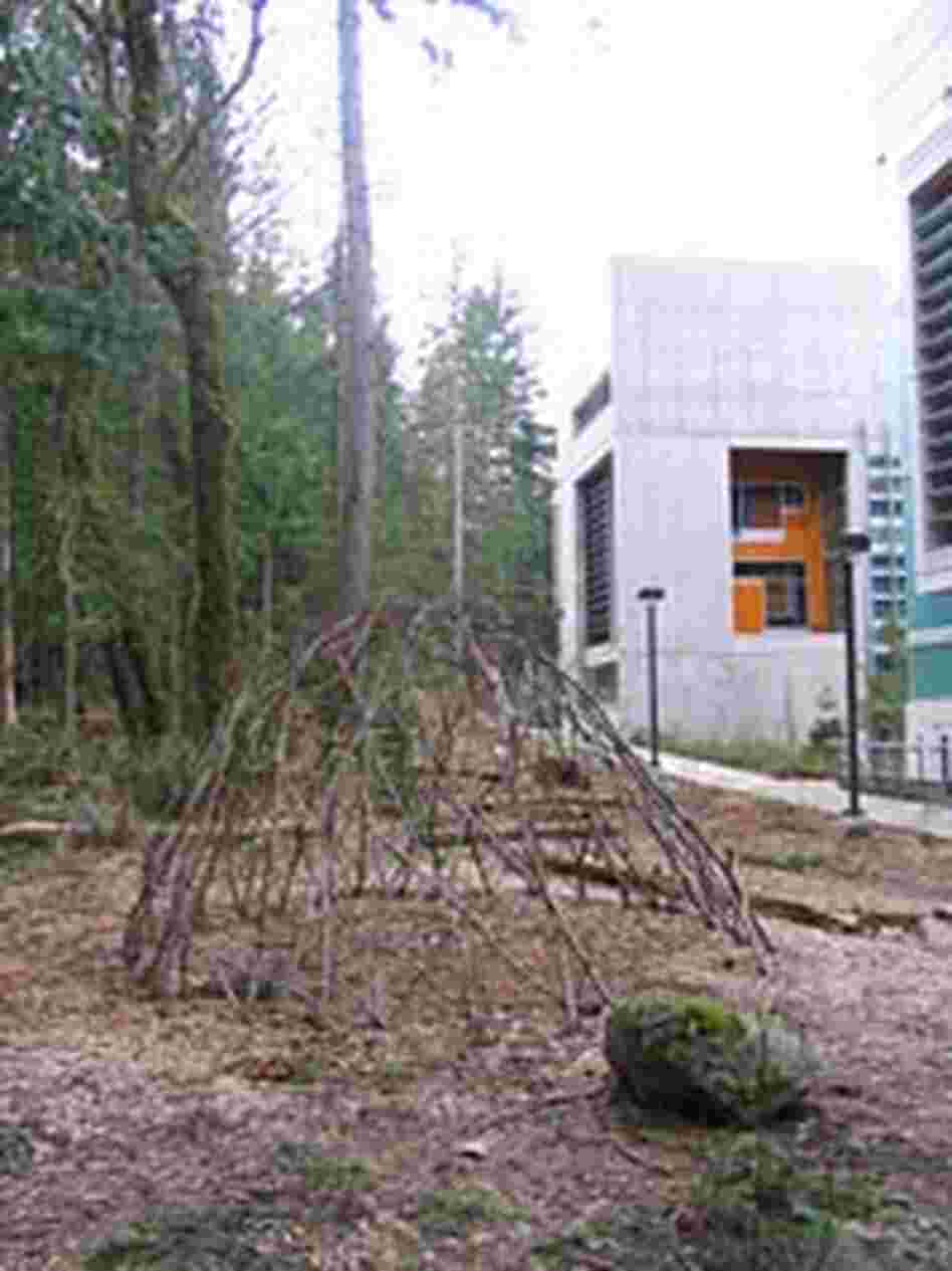 A geodesic dome outside a building at Evergreen State College, built from fallen branches.