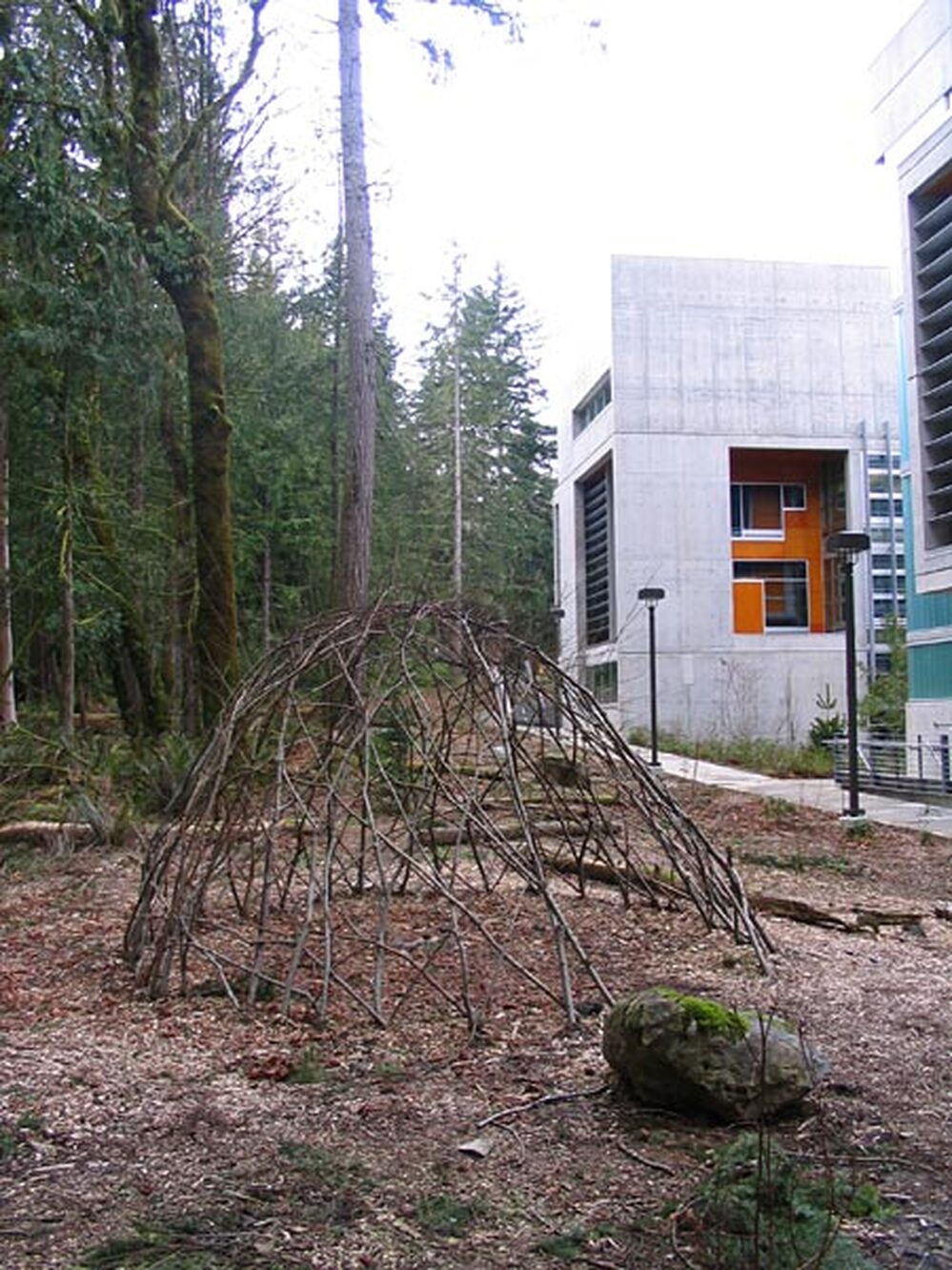 A geodesic dome outside a building at Evergreen State College, built from fallen branches.