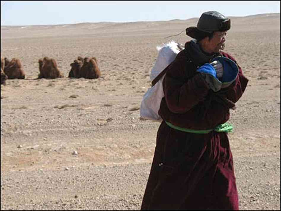 A nomadic herder waits for a ride to a nearby village. A nomadic herder waits for a ride to a nearby village.