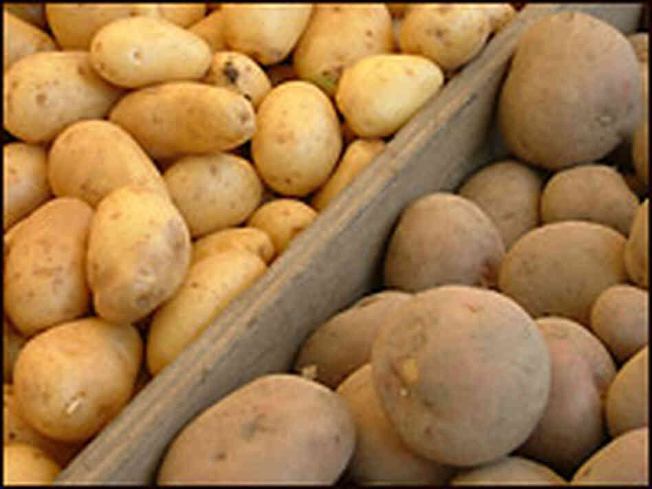Potatoes. Credit: iStockphoto.com.
