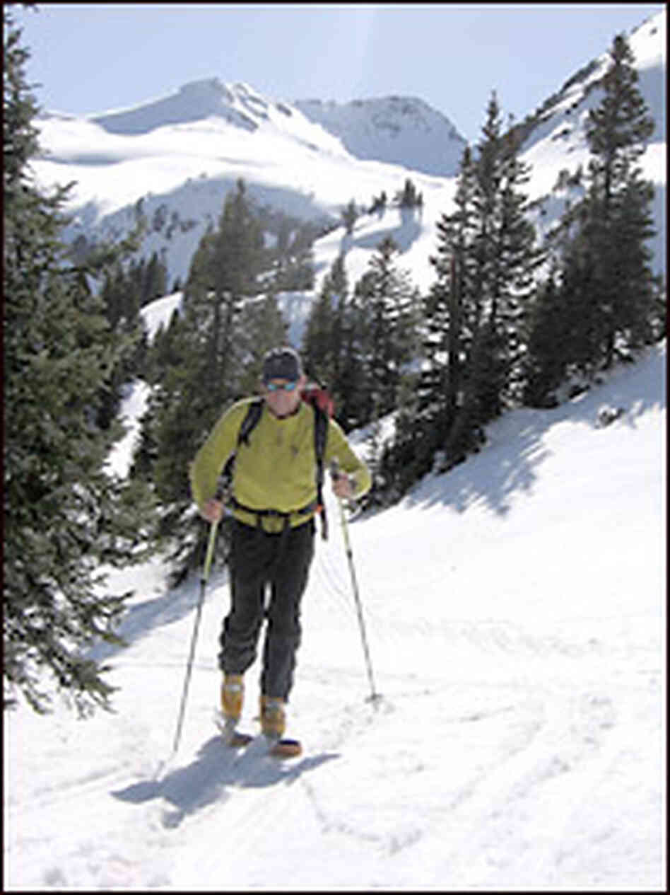 Thomas Painter skis up a mountain. Credit: Richard Harris, NPR. Thomas Painter skis up a mountain. Credit: Richard Harris, NPR.