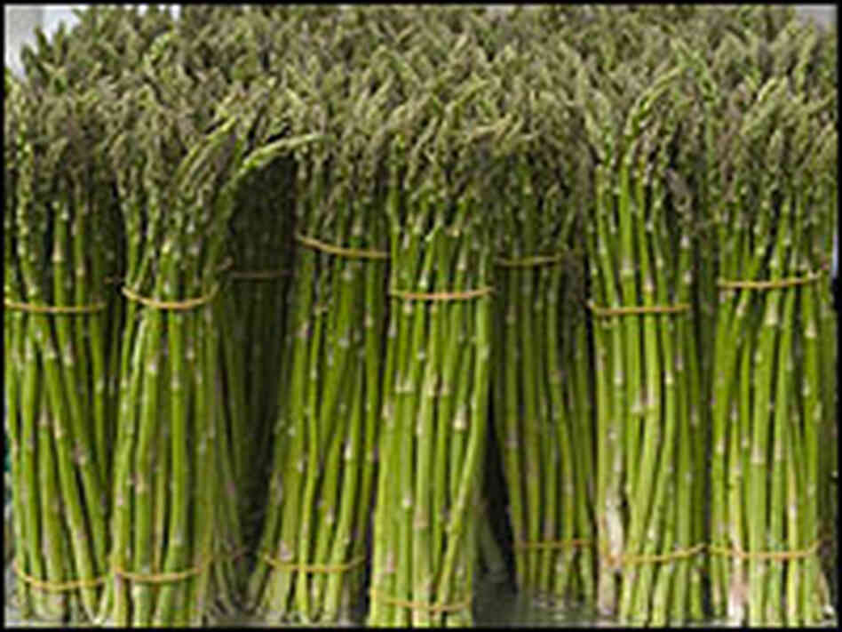 Dark green vegetables like asparagus are a better source of folate than synthetic folic acid tablets Dark green vegetables like asparagus are a better source of folate than synthetic folic acid tablets