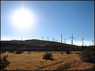 A wind farm.