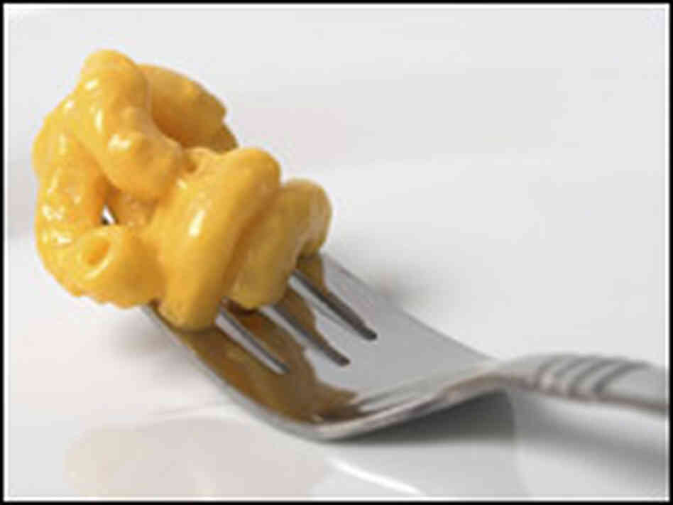 Macaroni and Cheese on a Fork Macaroni and Cheese on a Fork