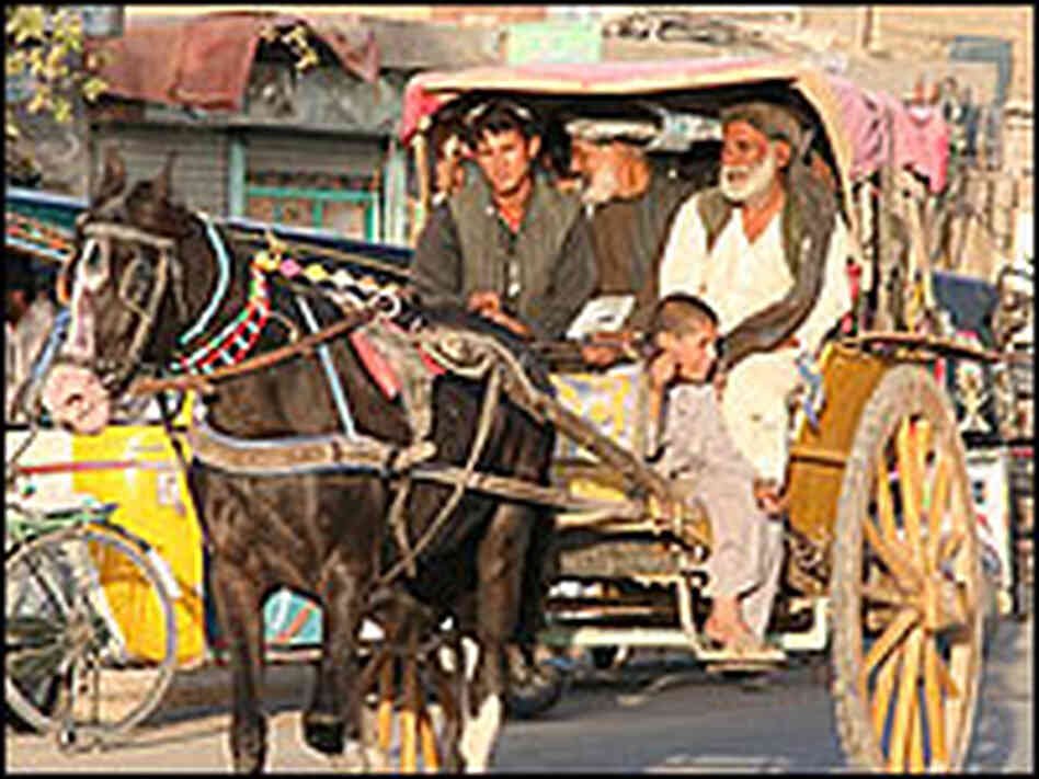 Horse and buggy Horse and buggy