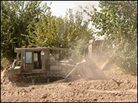 Bulldozers level orchards for a road project in Afghanistan's Panjwai District. Bulldozers level orchards for a road project in Afghanistan's Panjwai District.
