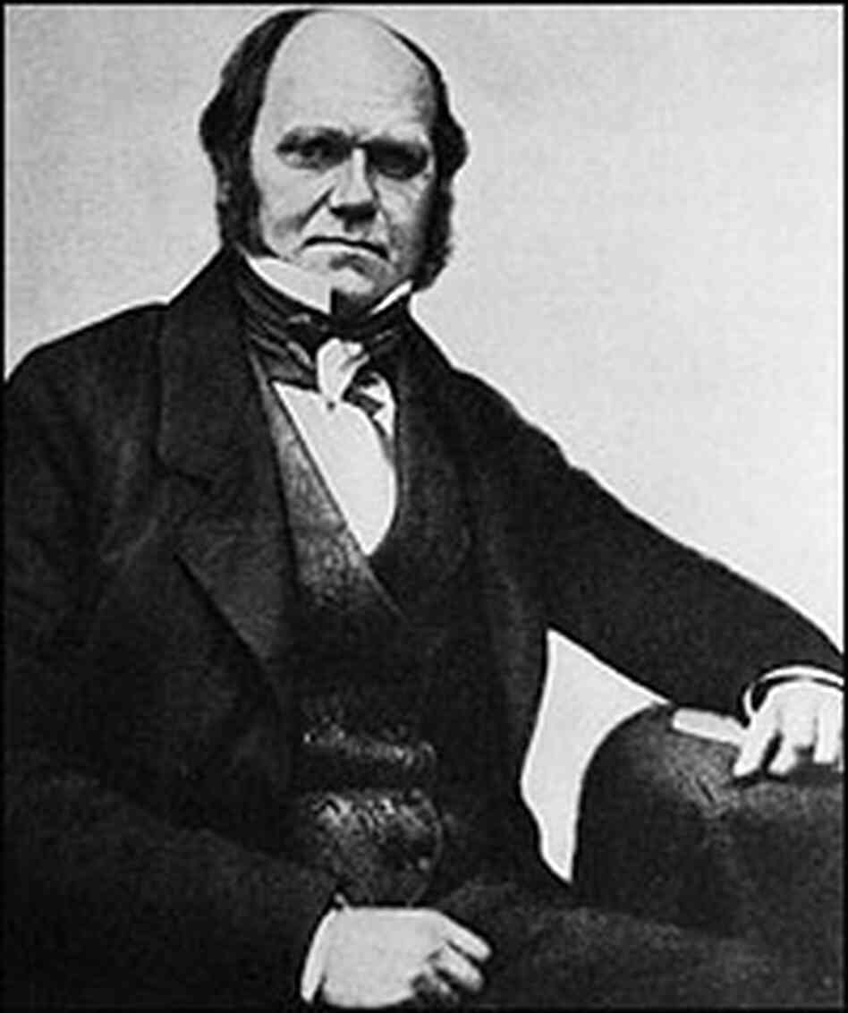 Charles Darwin, c. 1855. Charles Darwin, c. 1855.