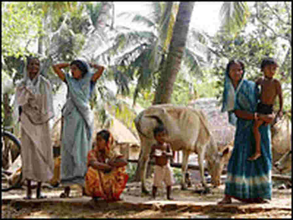 Villagers near the town of Nandigram.