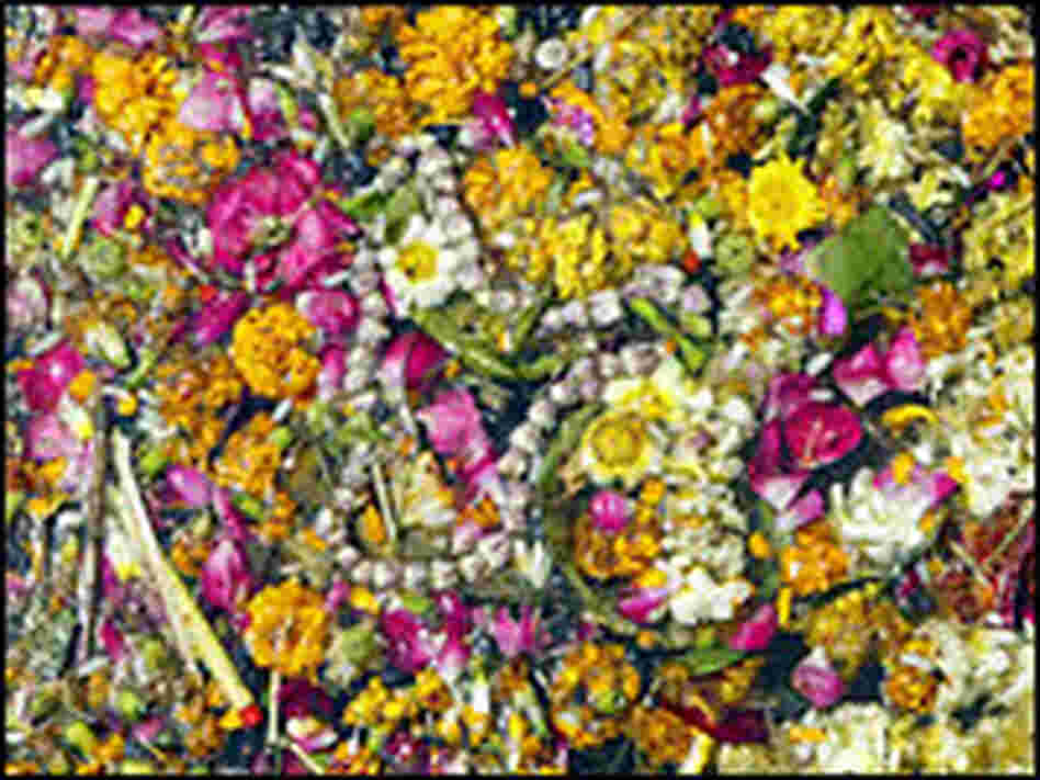 Floral offerings left by pilgrims float off the banks of Varanasi.