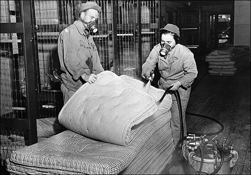 Exterminators spray mattresses in 1944 with DDT solution.