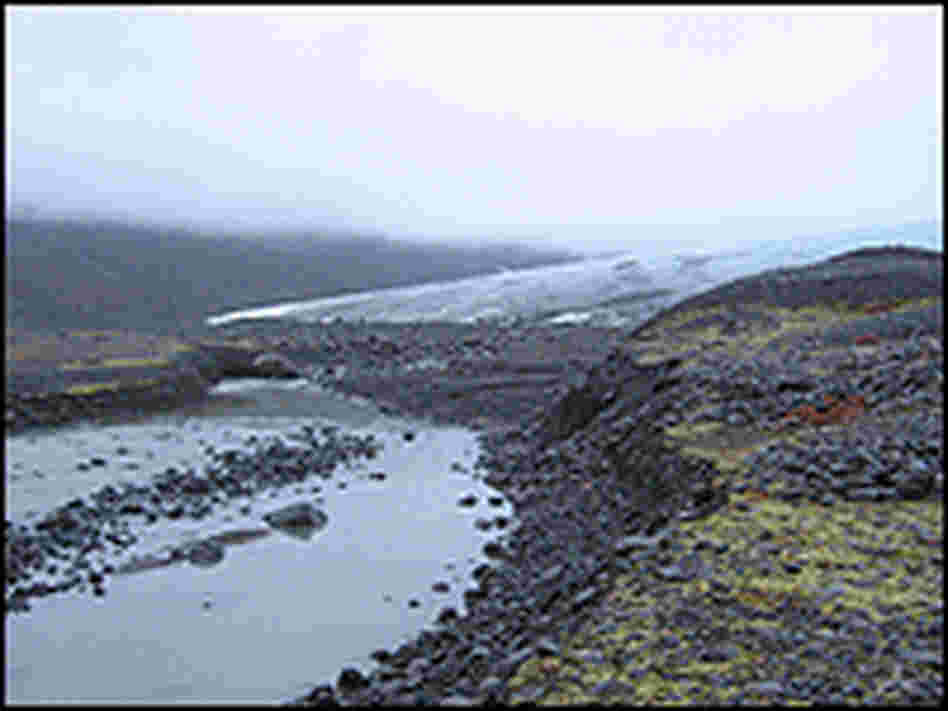 Streams of melt water pour out into the field in front of the glacier.